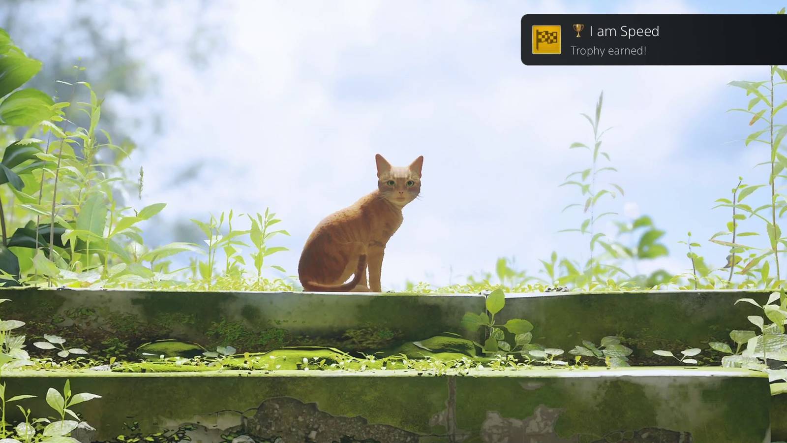 Tips for unlocking the 'I am Speed' trophy in Stray