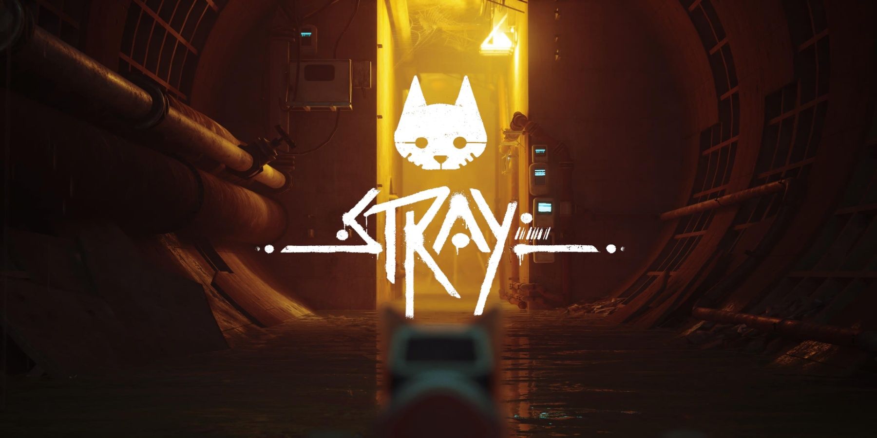 How to Play Stray for Free With PlayStation Plus