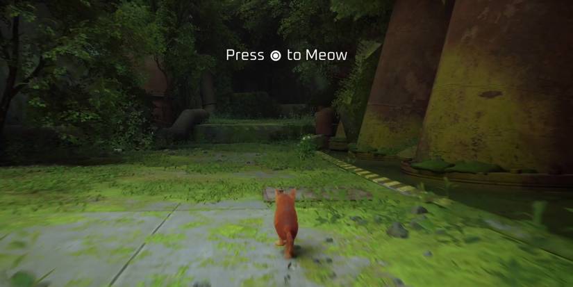 stray-most-adorable-actions-01-meow