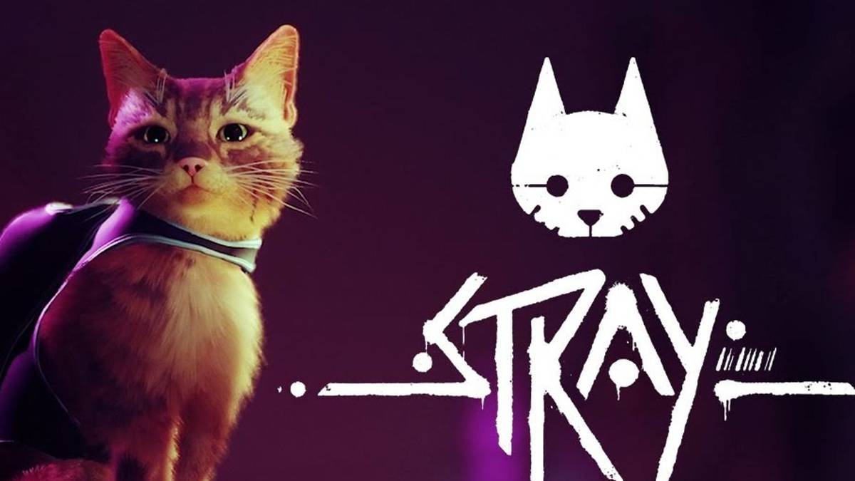 lost cat in Stray poster