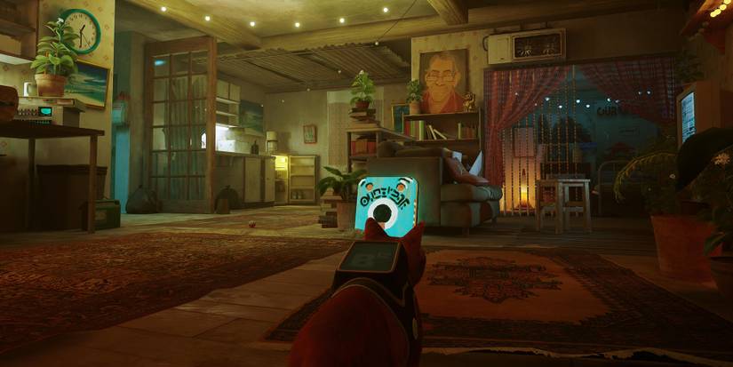 rooftops stray trophy bag 