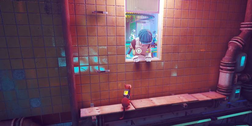 talking to the robot in stray