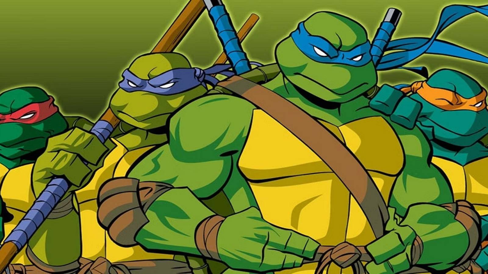teenage-mutant-ninja-turtles-2003 with the turtles wallpaper