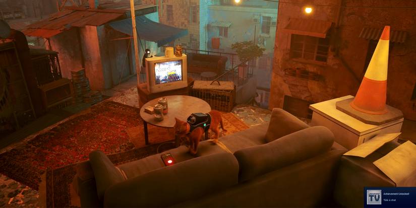 tele a chat trophy in stray