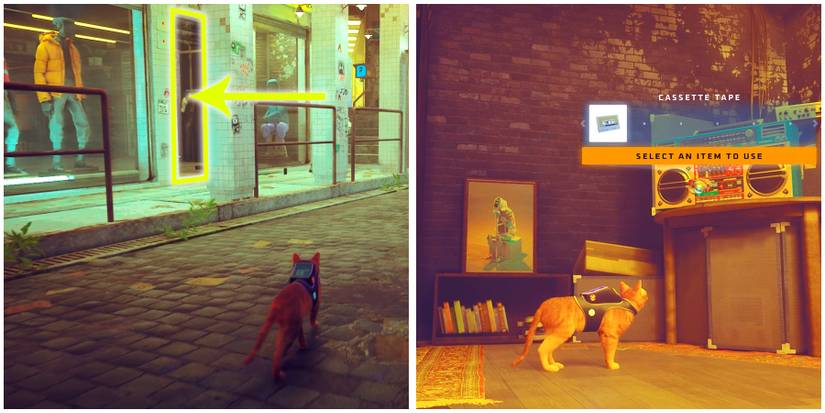 the clothing store location in stray