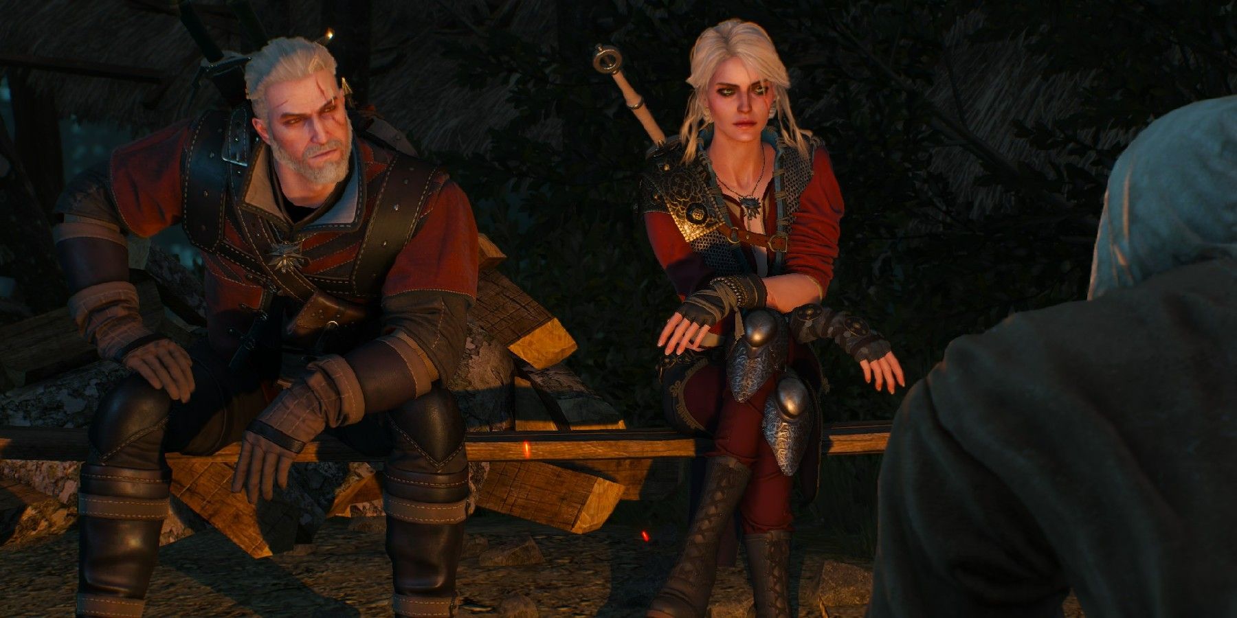 the-witcher-4-witchers-characters