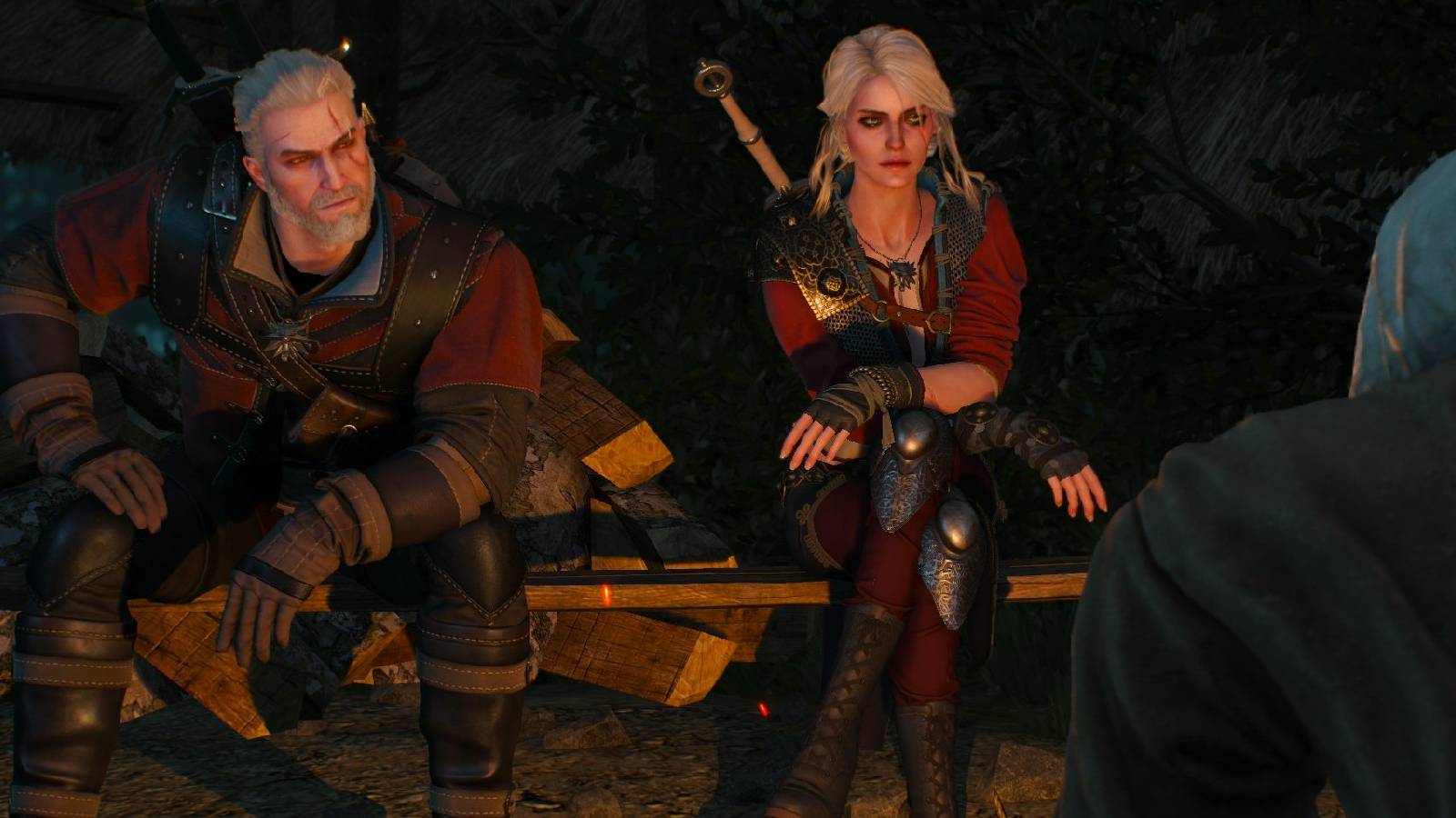 the-witcher-4-witchers-characters