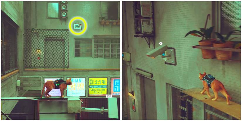 third and fourth surveillance camera in stray