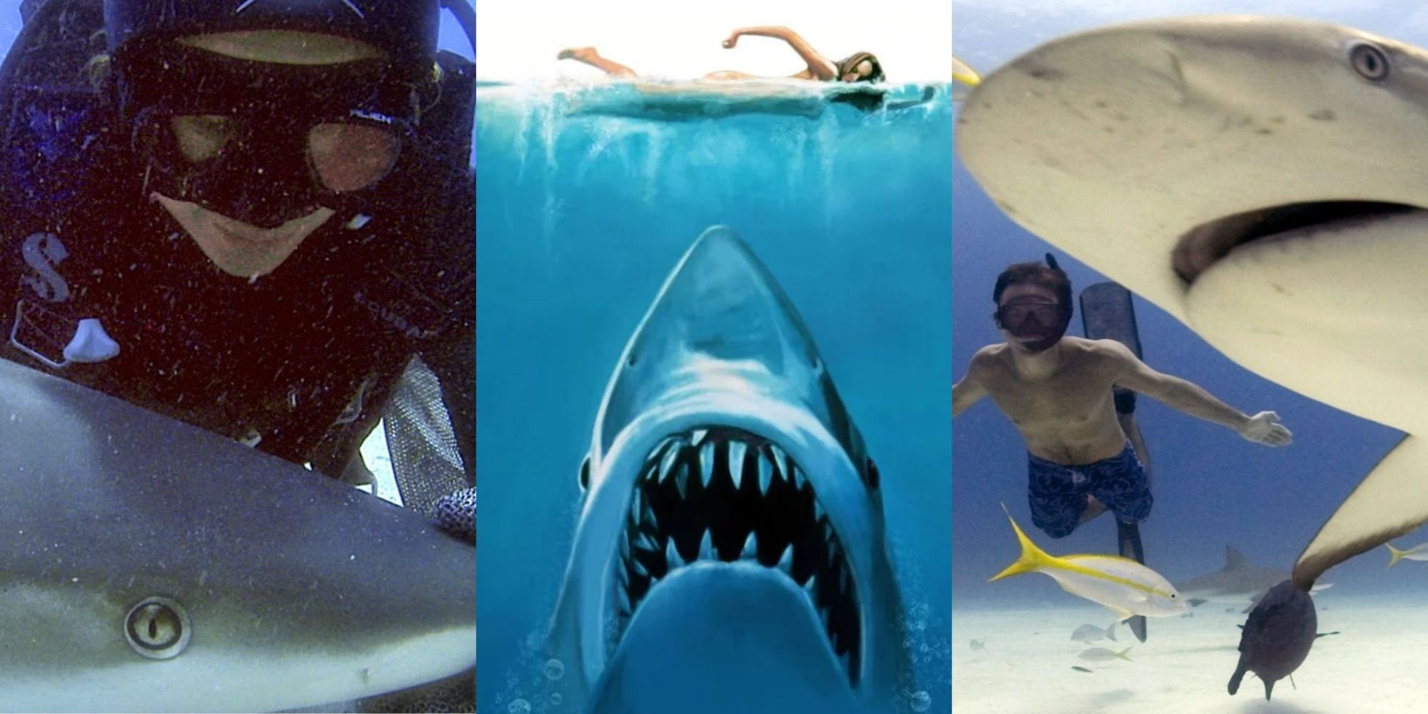 заглавное изображение что челюсти ошибаются примыкают к акулам Shark Girl (2014) Челюсти постер фильма Sharkwater (2006)
