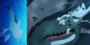 Shark Anime Boy Pfp Shark Anime Boy Pfp
