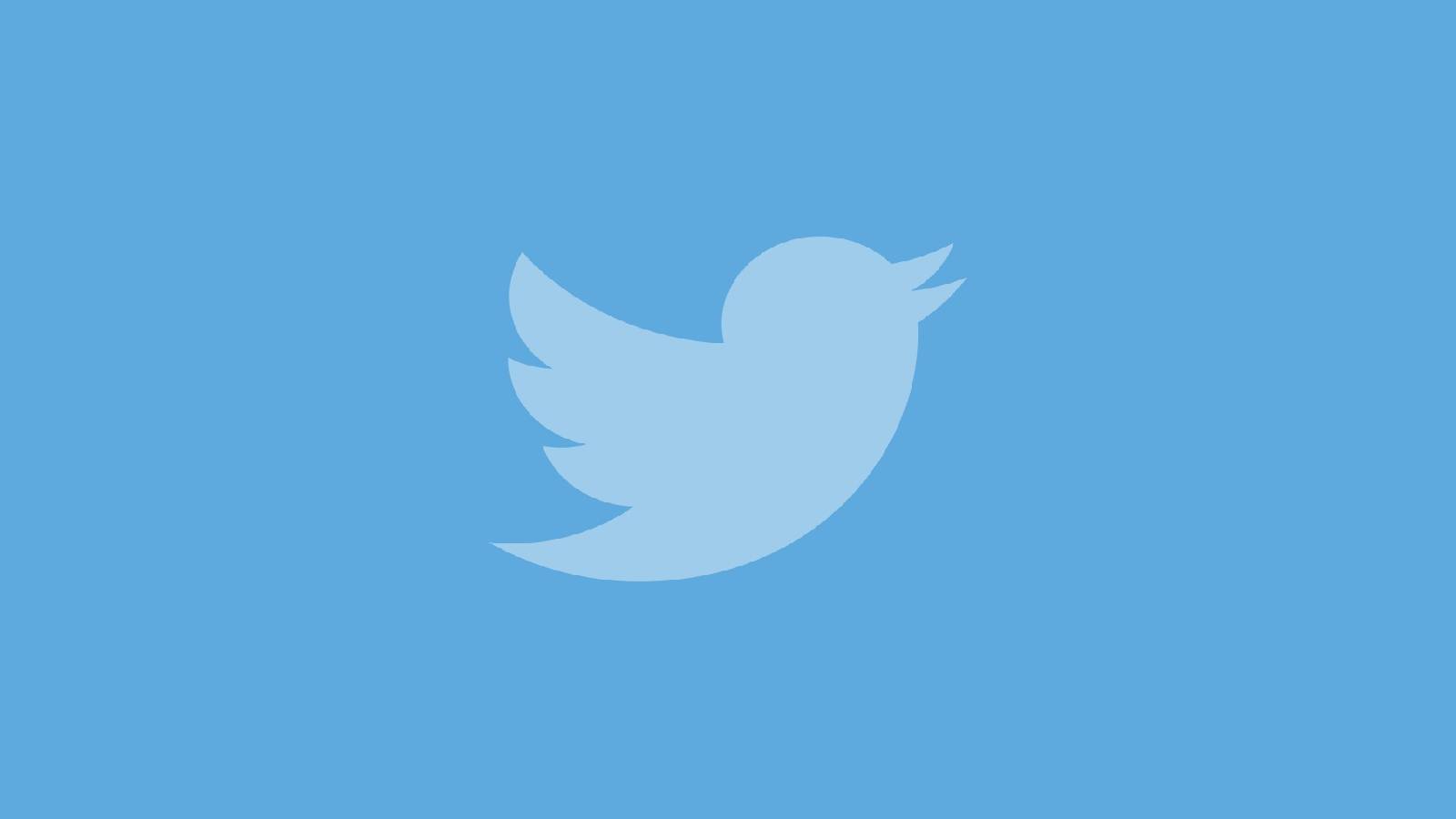 twitter bird logo on blue background