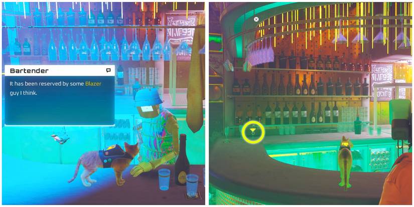 vip section at the nightclub in stray