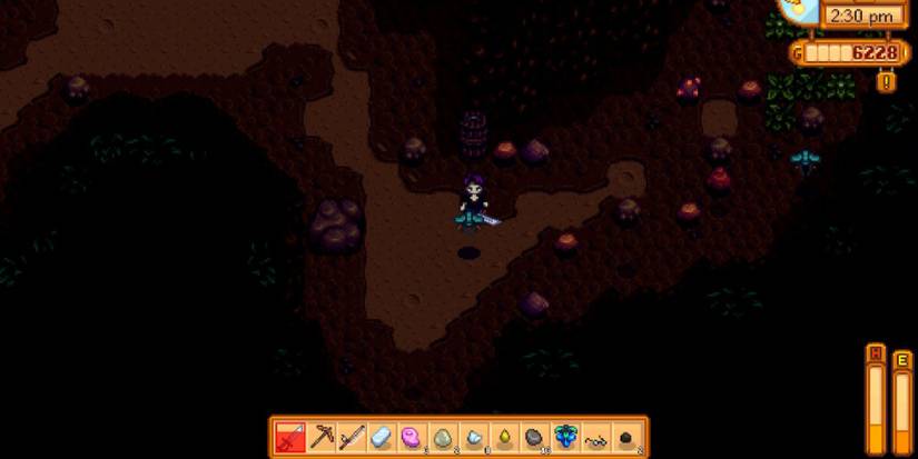 Blocking an attack by a bug in Stardew Valley