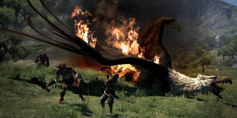 A Griffin in Dragons Dogma