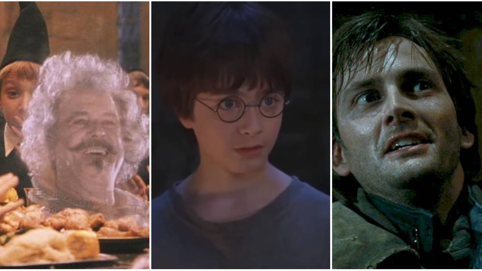Actors You Forgot Were In Harry Potter