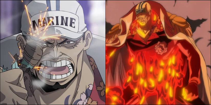 Akainu True Power One Piece