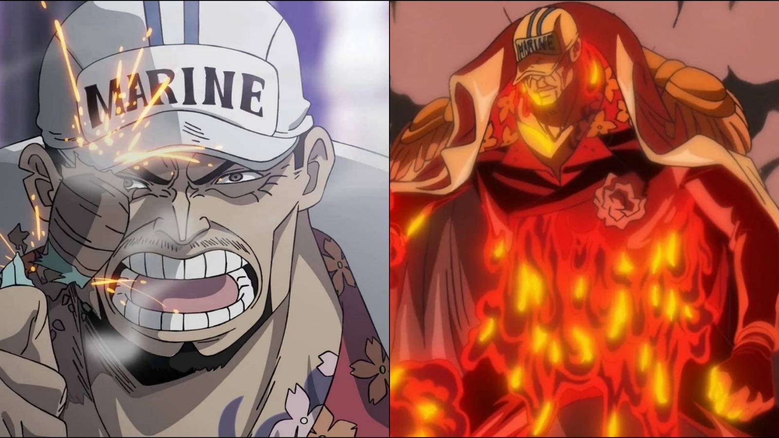 Akainu True Power One Piece
