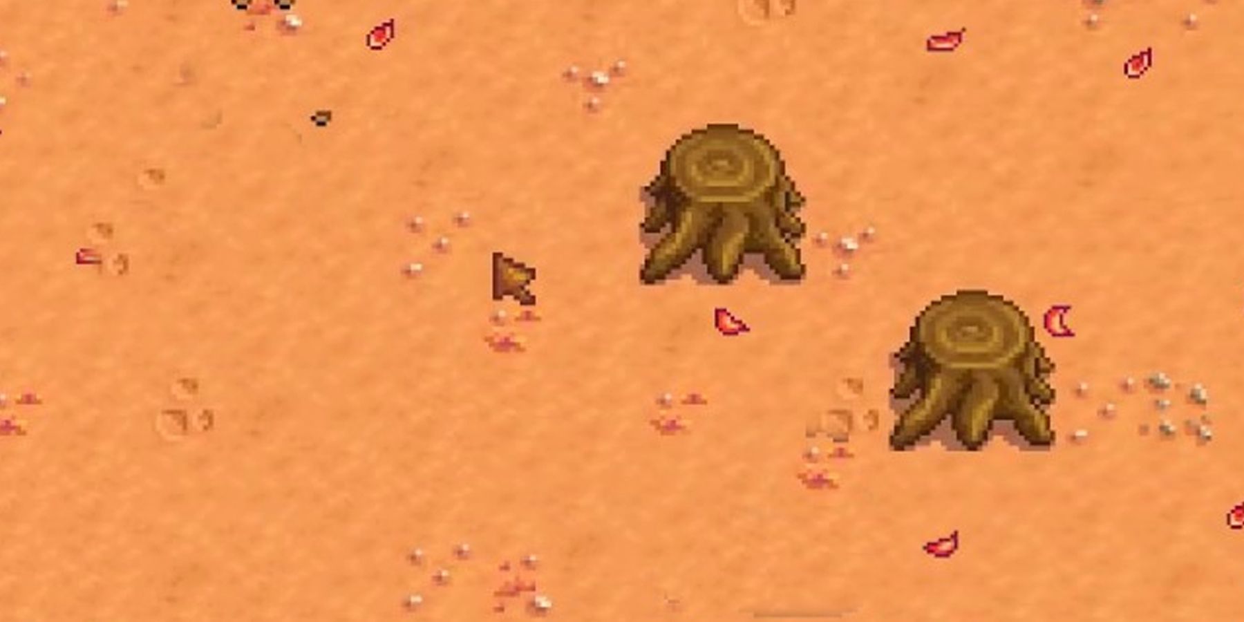 An area with Large Stumps in Stardew Valley