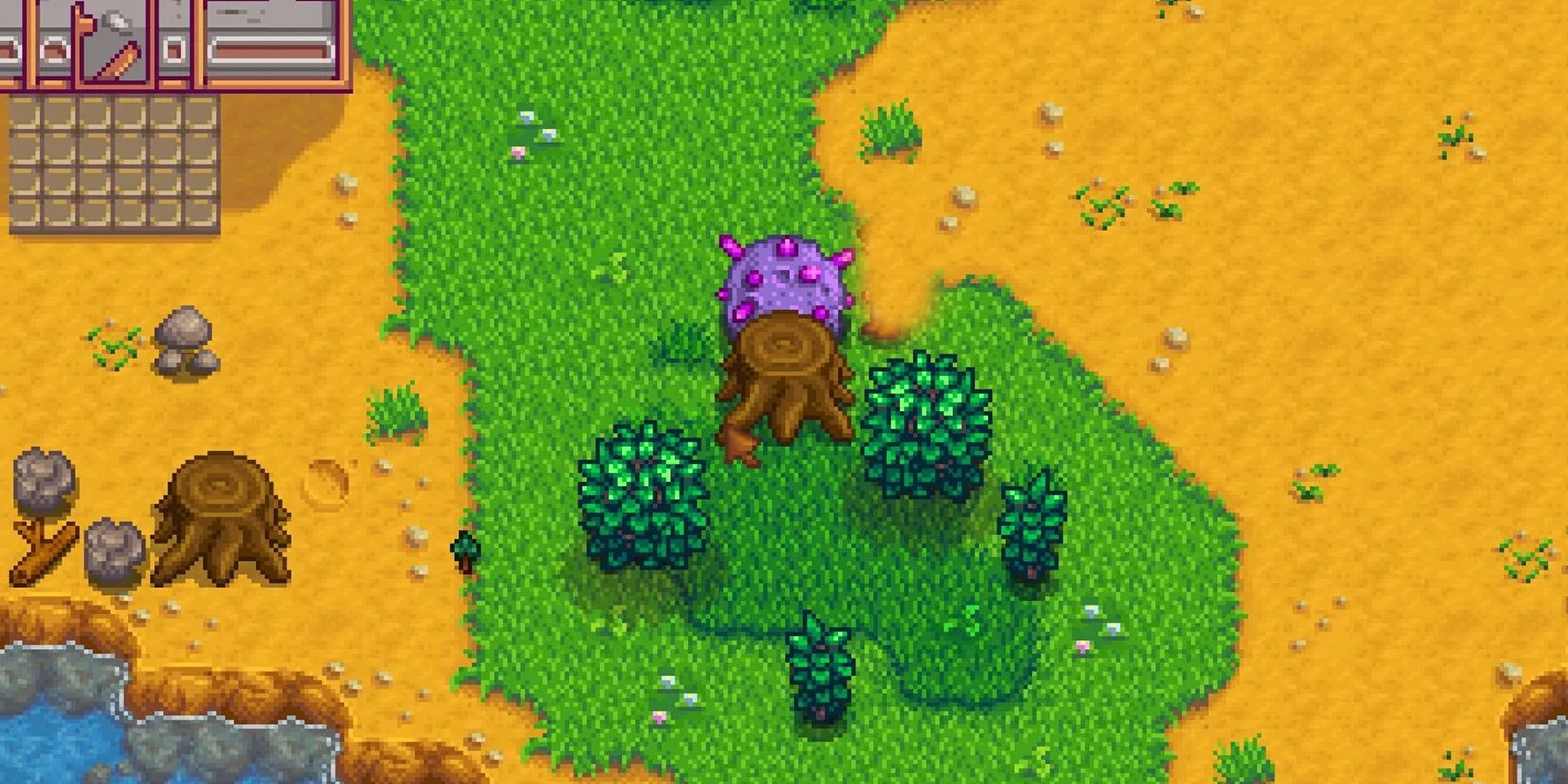 An area with a meteor in Stardew Valley