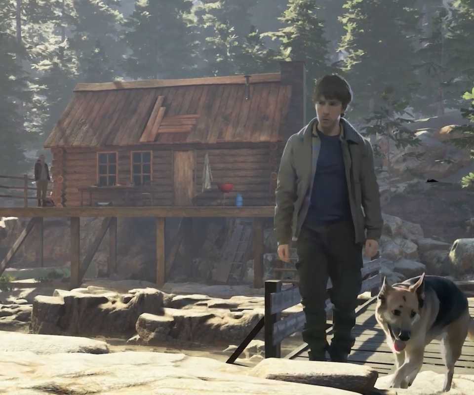 As Dusk Falls Turn Him In or Forgive Him will decide Jay's ultimate fate