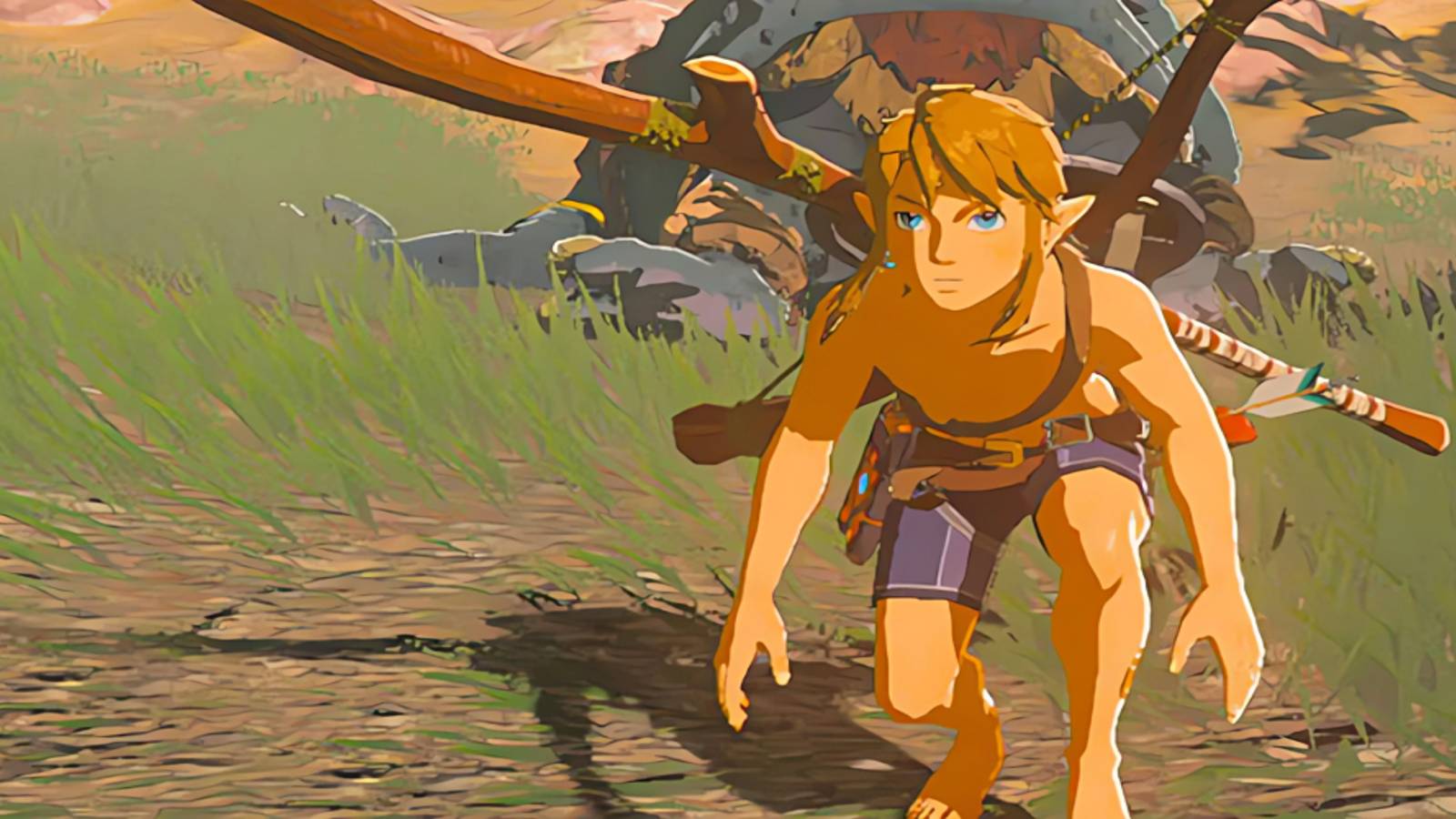 BOTW Link Stripped Down