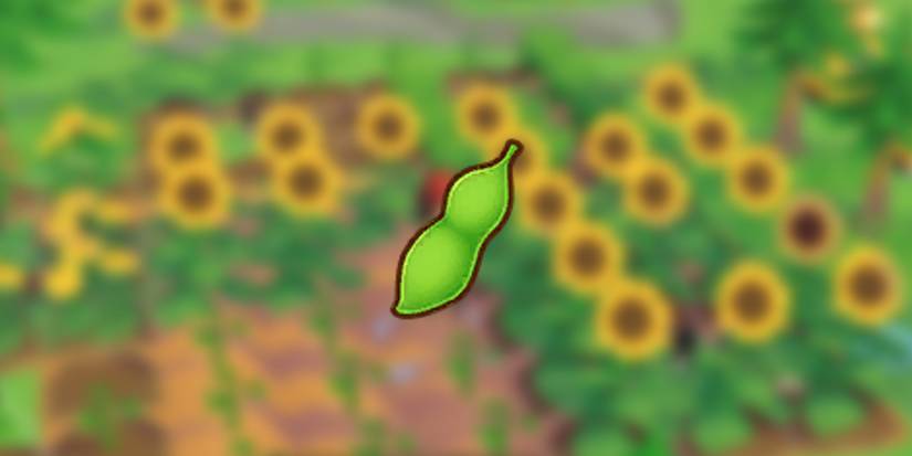 Beans in front of a sunflower background in Story of Seasons: Pioneers of Olive Town