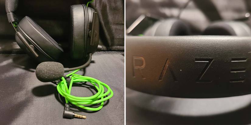 BlackSharkCloseupCord