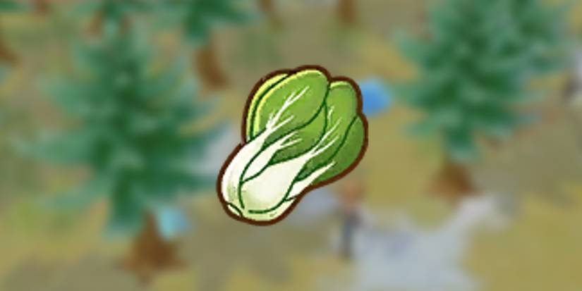 Bok-Choy in front of a snowy background in Story of Seasons: Pioneers of Olive Town