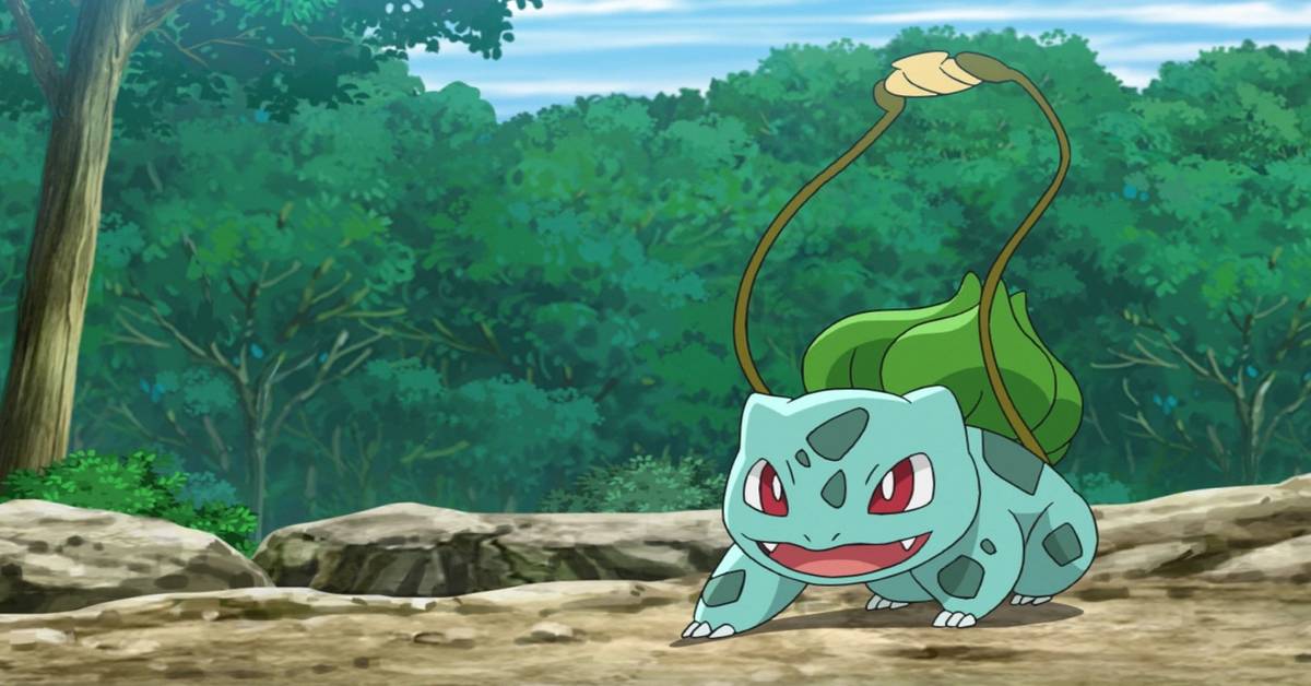 Bulbasaur Rage Bulbasaur Vigne Fouet Anime