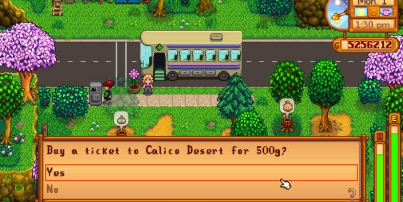 Bus Ticket Stardew Valley