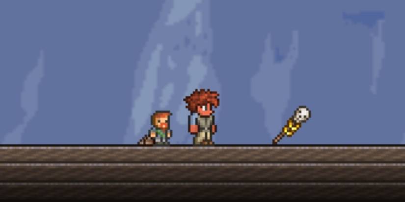 Terraria Pirate Staff with avatar up close