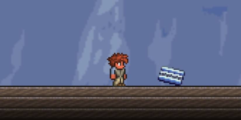 Terraria Discount Card