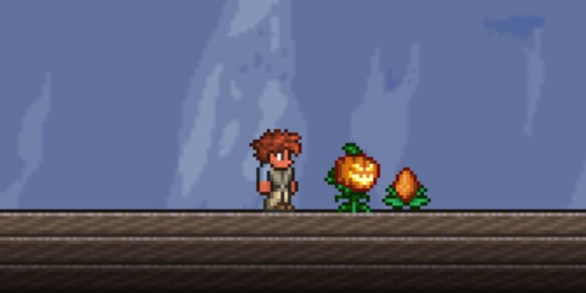Terraria Magical Pumpkin Seed