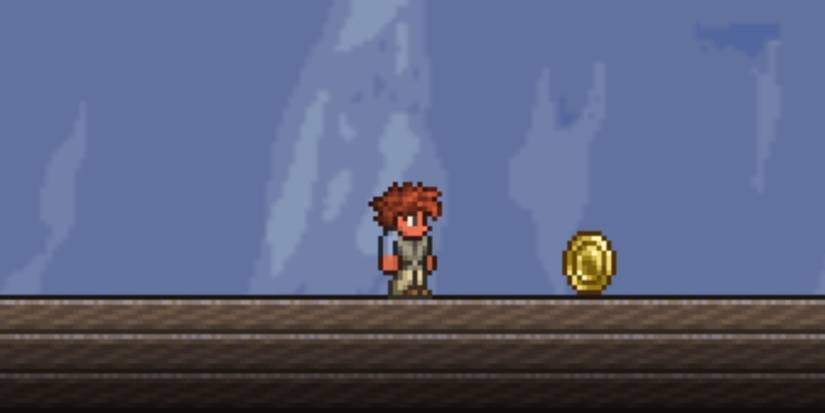 Terraria Lucky Coin