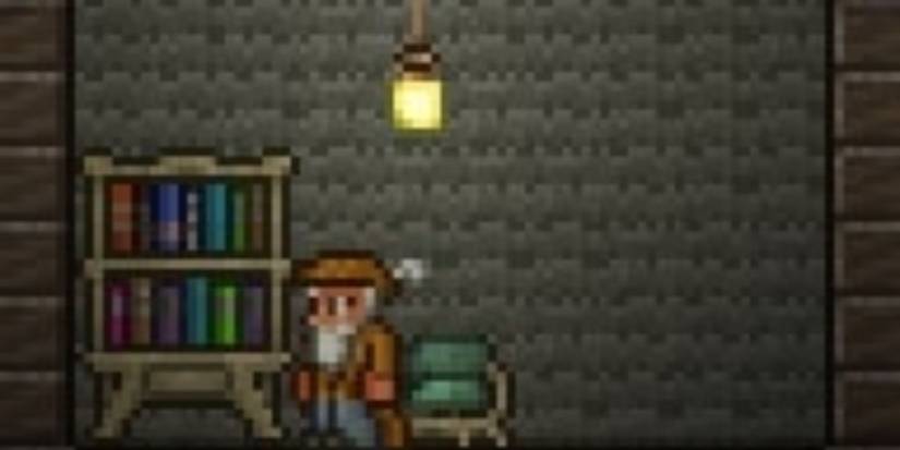 Terraria The Merchant