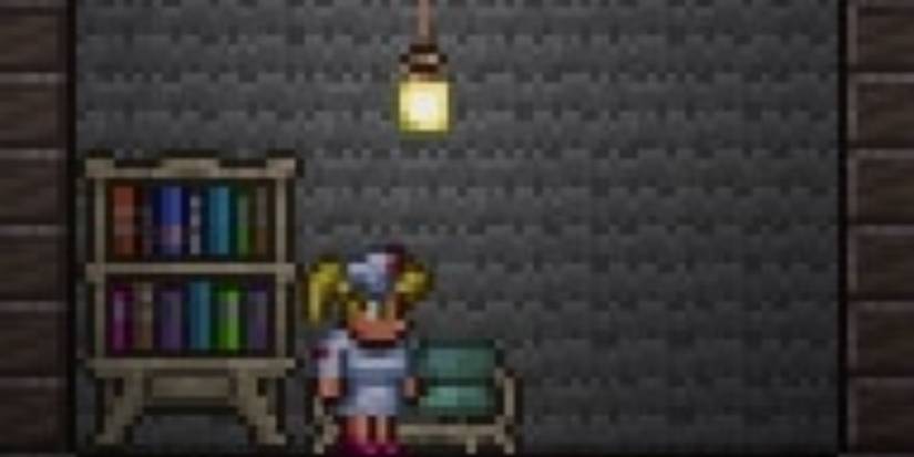 Terraria The Nurse