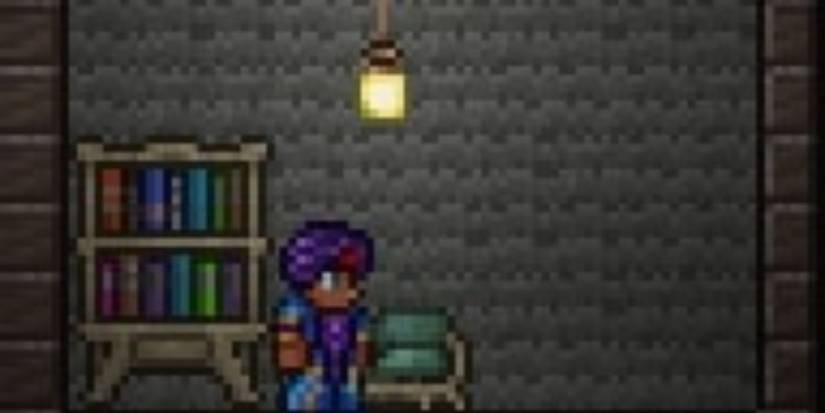 Terraria The Dye Trader