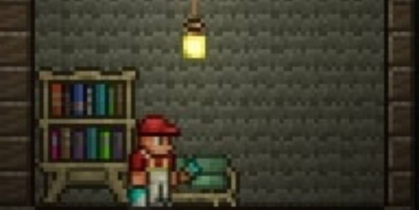 Terraria The Painter