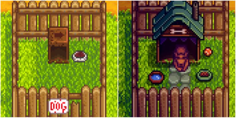 Stardew Valley dog kennel changes