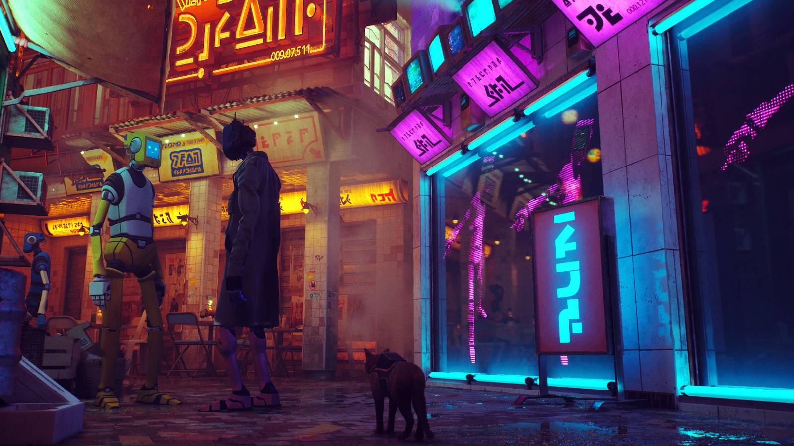 Cat in lit-up alleyway with robots. 