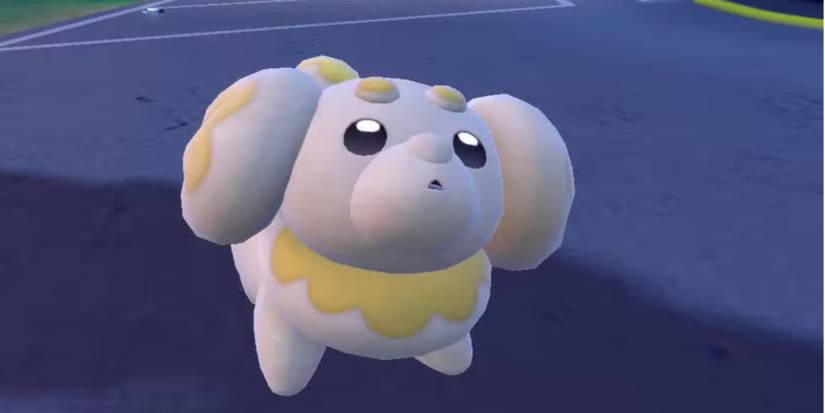 Close-up of Fidough.