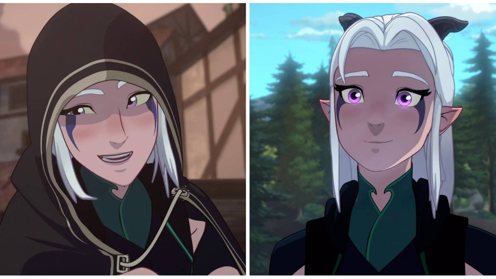 The Dragon Prince: Rayla's Best Quotes