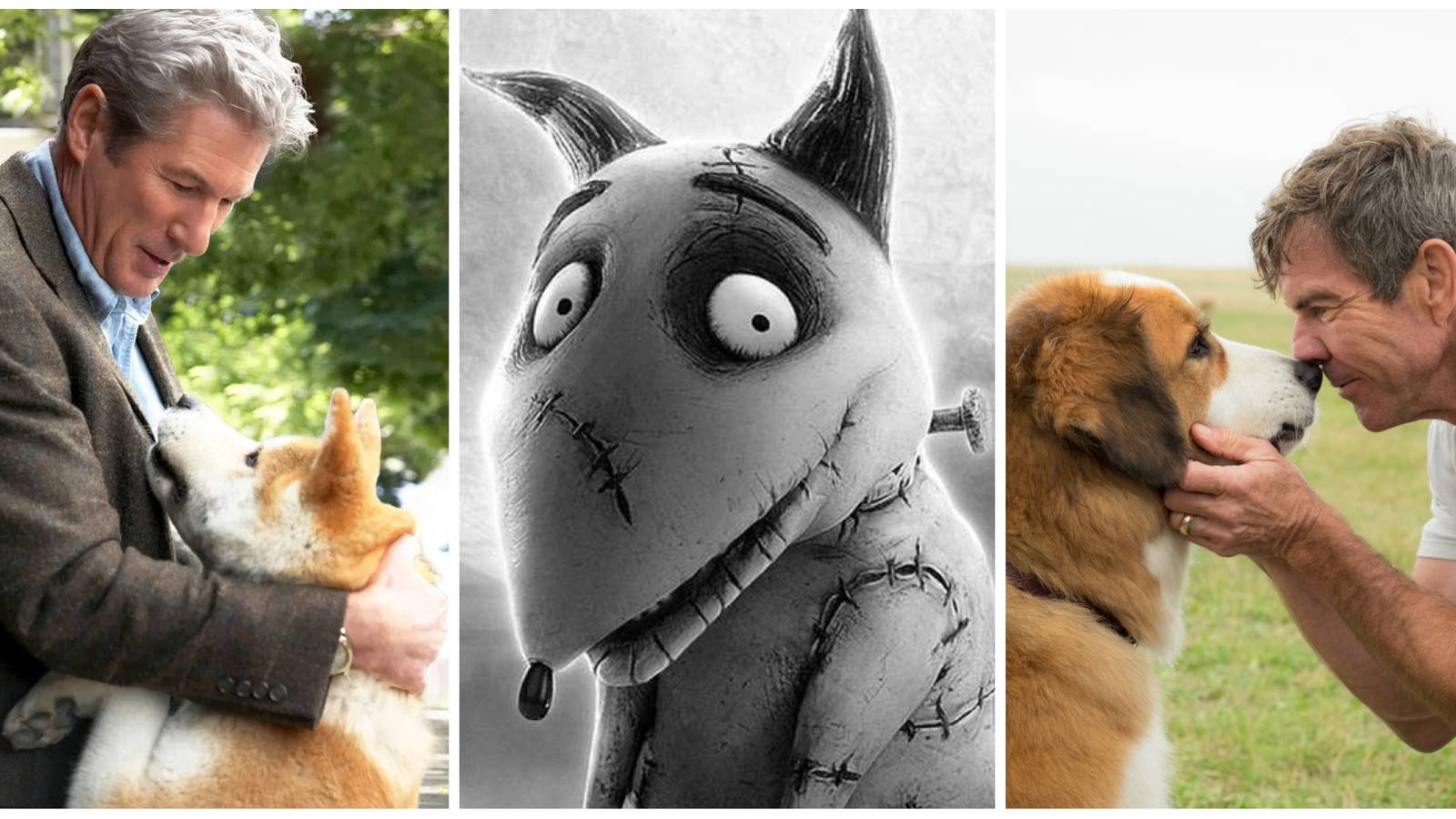 8 Movies That Kill The Dog