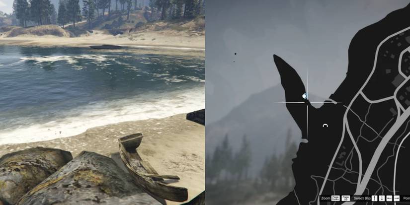 Collage Maker-18-Aug-2022-04.59-PM