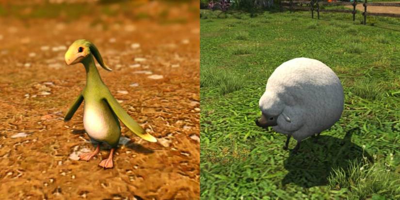 Split image of Apkallu and Lost Lamb.