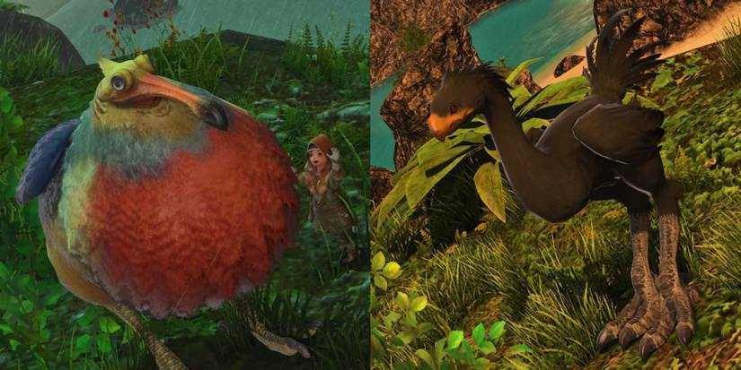 Split image of colorful dodo and black chocobo.