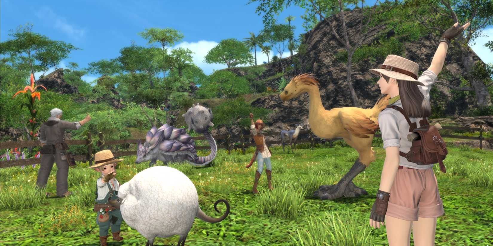 Player characters in pasture with animals.