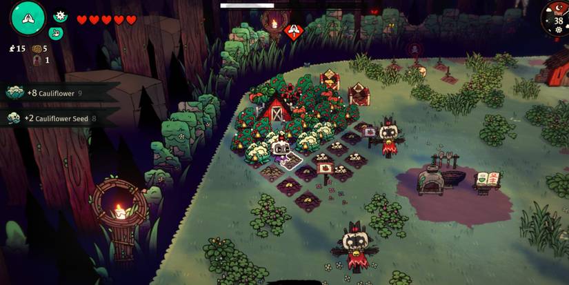 Cult of the lamb screenshot farm with cauliflower