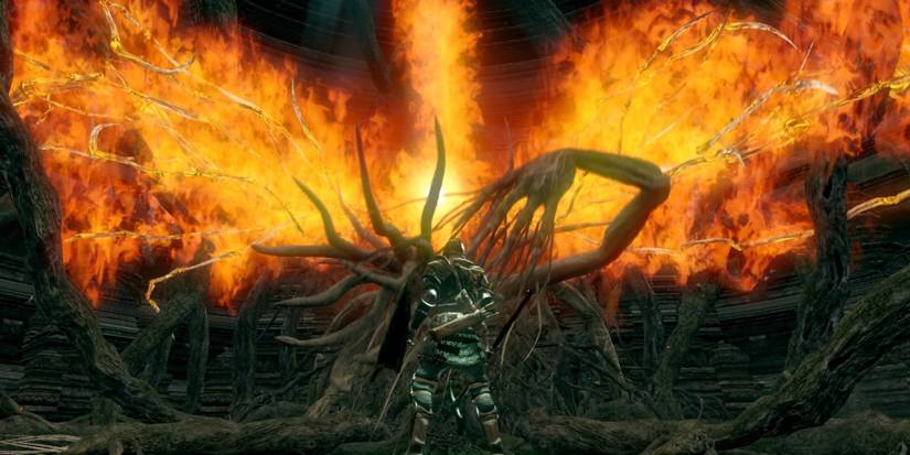 A screenshot showing the player character in front of the Bed of Chaos boss from Dark Souls.