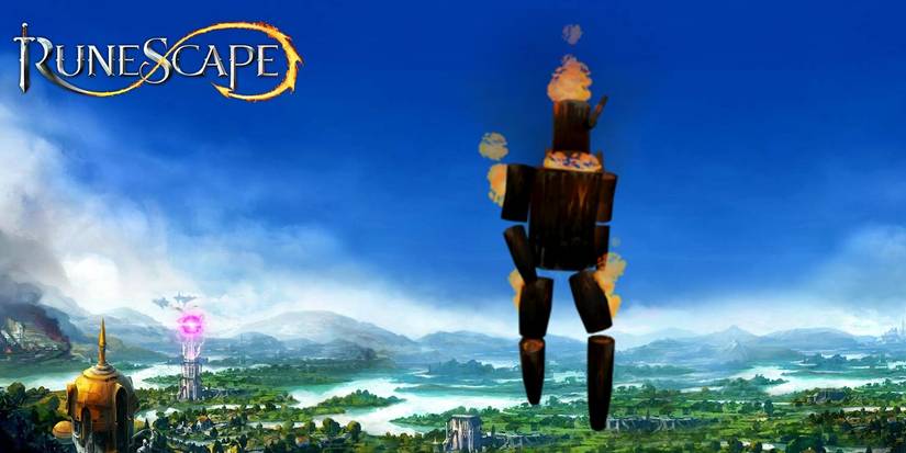 Bernie skilling pet RuneScape 3